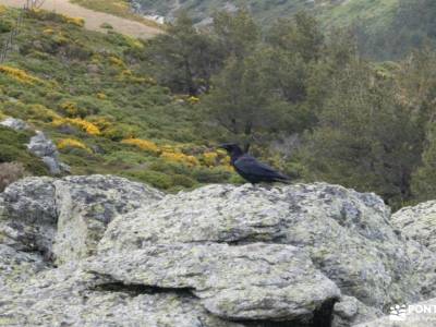 La Mujer Muerta [Mini-Reto]; nacimiento de rio cuervo madrid suroeste mochilas de montaña para niños